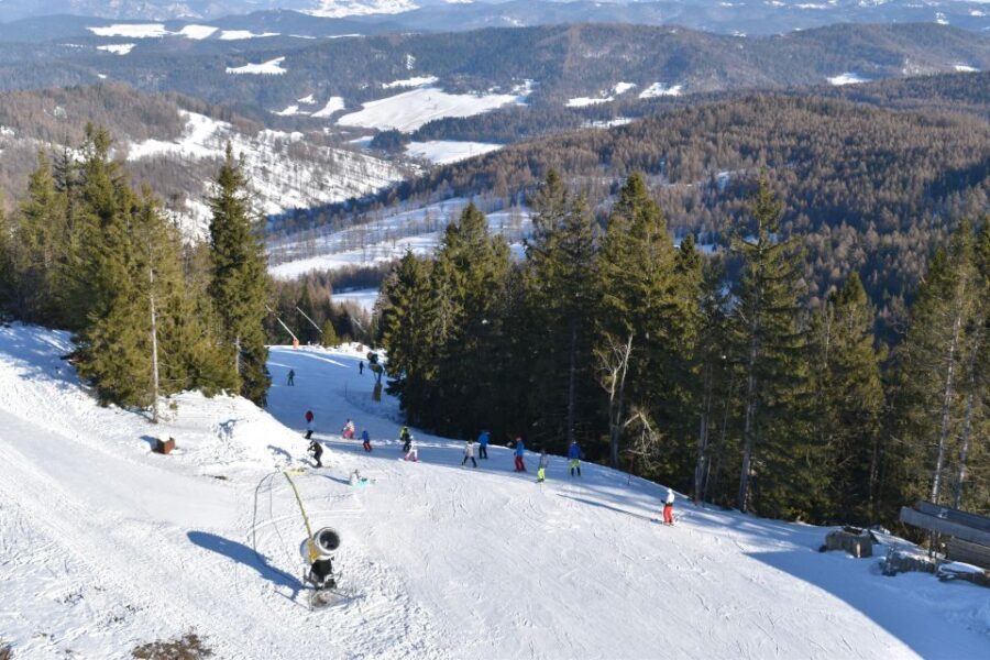 From Kraków: Slovakia Treetop Walk & 4-Hour Ski Pass - A Deep Dive into the Experience