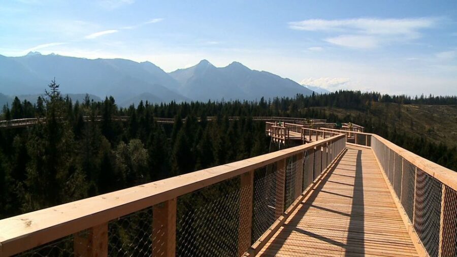 From Kraków: Slovakia Treetop Walk and Thermal Baths - Detailed Review of the Tour Experience