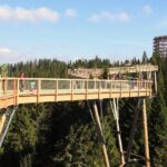 From Kraków: Slovakia Treetop Walk Bachledka and Zakopane - Why You Should Consider This Tour