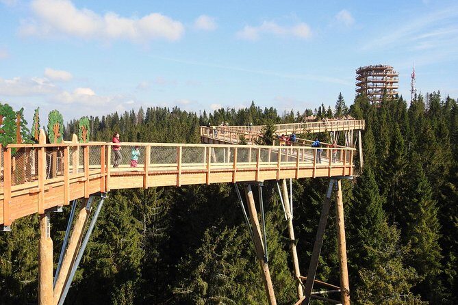 From Kraków: Slovakia Treetop Walk Bachledka and Zakopane - Why You Should Consider This Tour
