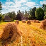 From Krakow: Tokarnia Ethnographic Park  Private Day Trip - The Comfort and Convenience of Private Transport