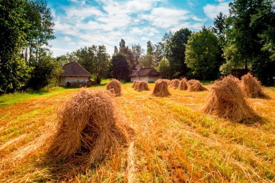 From Krakow: Tokarnia Ethnographic Park  Private Day Trip - The Comfort and Convenience of Private Transport