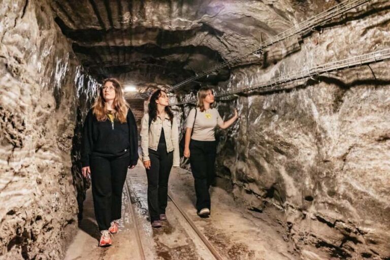 From Krakow: Wieliczka Salt Mine Guided Tour - Who Should Consider This Tour?