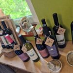 From Krakow: Wine Tasting at Vineyard - Exploring the Details: What You Can Expect