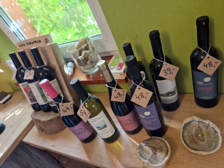 From Krakow: Wine Tasting at Vineyard - Exploring the Details: What You Can Expect