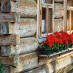 From Krakow: Zakopane and Dunajec River Rafting Tour - What’s Included and What’s Not
