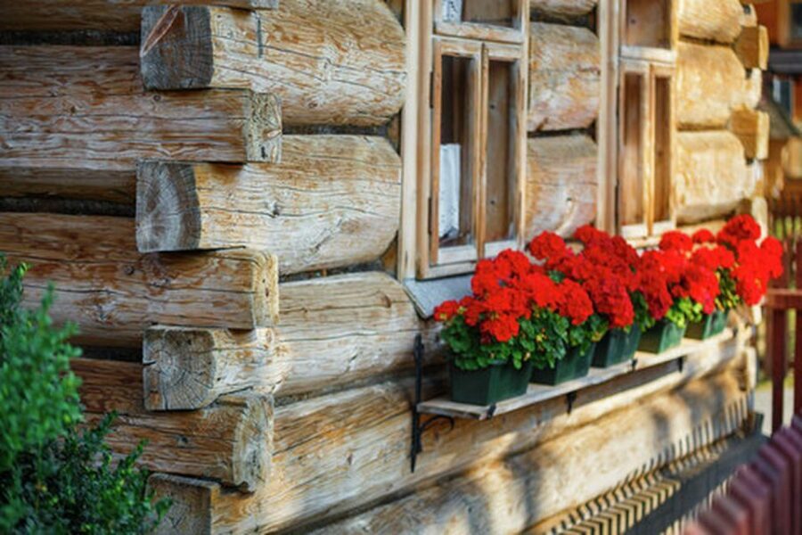 From Krakow: Zakopane and Dunajec River Rafting Tour - What’s Included and What’s Not