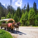 From Krakow: Zakopane and the Tatra Mountains Private Tour - Who Will Love This Tour?