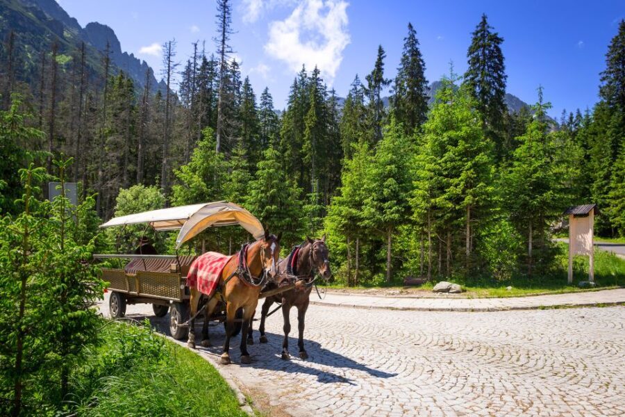 From Krakow: Zakopane and the Tatra Mountains Private Tour - Who Will Love This Tour?
