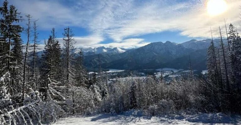 From Krakow: Zakopane Day Trip with Funicular & Food Tasting - Who Should Consider This Tour?