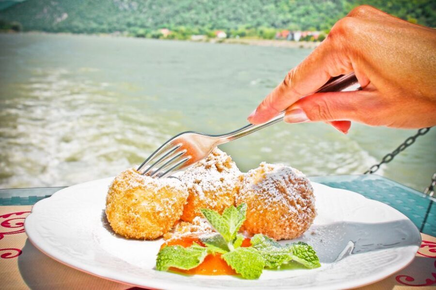 From Krems: Wachau Valley River Cruise on the Danube - Who Will Love This Cruise?