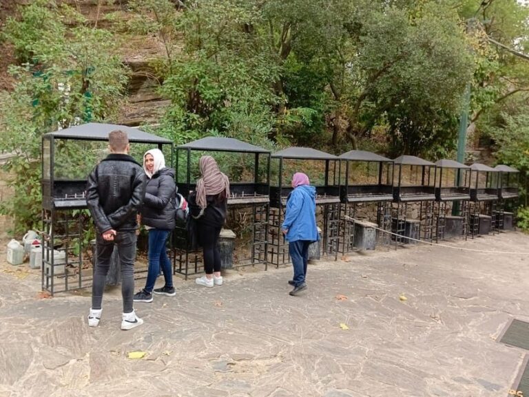 From kusadasi : Ephesus and House of Mary Tour for Crusiers - FAQ