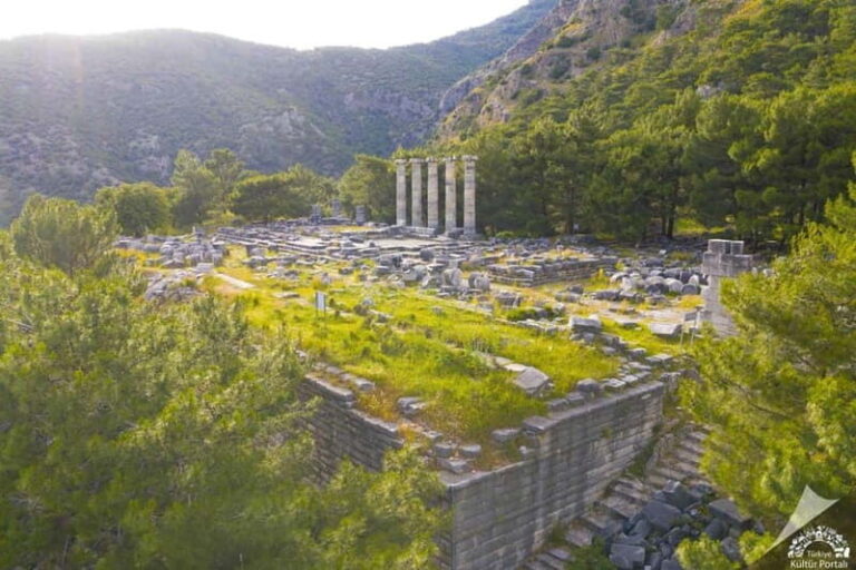 From Kusadasi Port: Priene, Miletus, and Didyma Daily Tour - The Sum Up