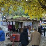 From Kusadasi: Sirince Village and Ephesus Tour - Who Will Love This Tour?