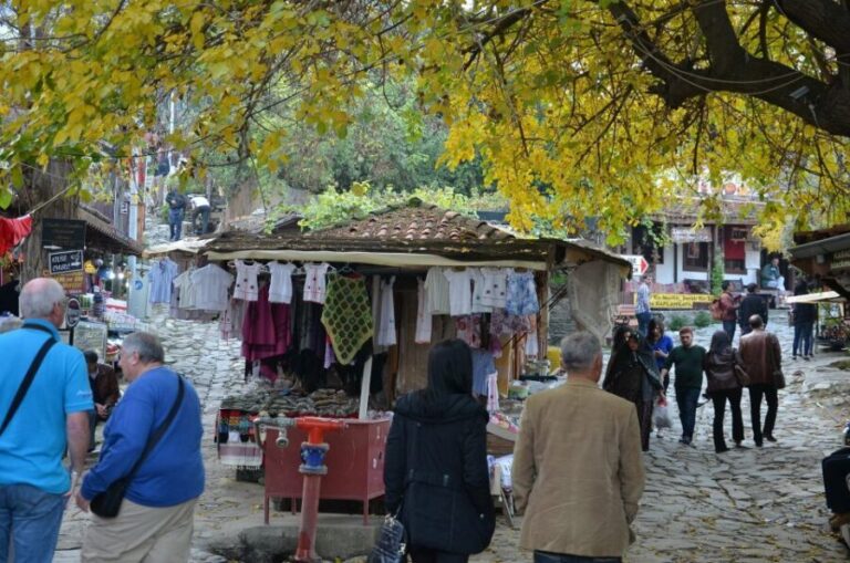 From Kusadasi: Sirince Village and Ephesus Tour - Who Will Love This Tour?