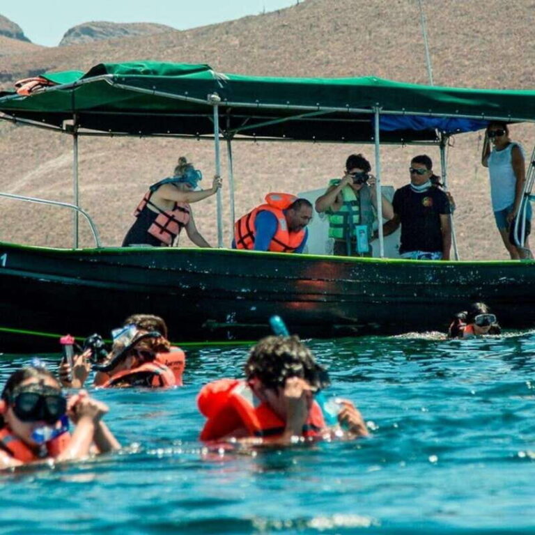 From La Paz: Espíritu Santo Island Tour all inclusive - A Deep Dive into the Espíritu Santo Island Tour