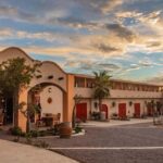 From La Playa: Vineyard Tour w/ Tasting & Todos Santos Stop - An In-Depth Look at the Vineyard Tour Experience