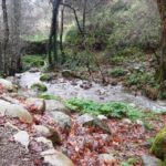 From Lagos: Monchique Private Guided Hike + Medronho Tasting - A Detailed Look at the Monchique Guided Hike & Medronho Tasting