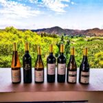 From Lagos: Small-Group 4-Hour Wine Tasting Tour - An In-Depth Look at the Experience