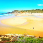 From Lagos: Wild and Wonderful West Coast Full-Day Tour - Exploring the Highlights in Detail