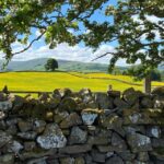 From Lake District: Full-Day Yorkshire Dales Tour - An In-Depth Look at the Yorkshire Dales Tour Experience