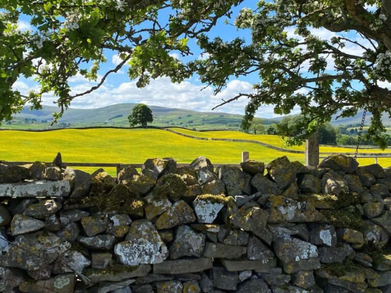 From Lake District: Full-Day Yorkshire Dales Tour - An In-Depth Look at the Yorkshire Dales Tour Experience
