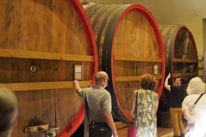 From Lake Garda: Full-Day Valpolicella Wine and Lunch Guided Trip - What the Reviews Say