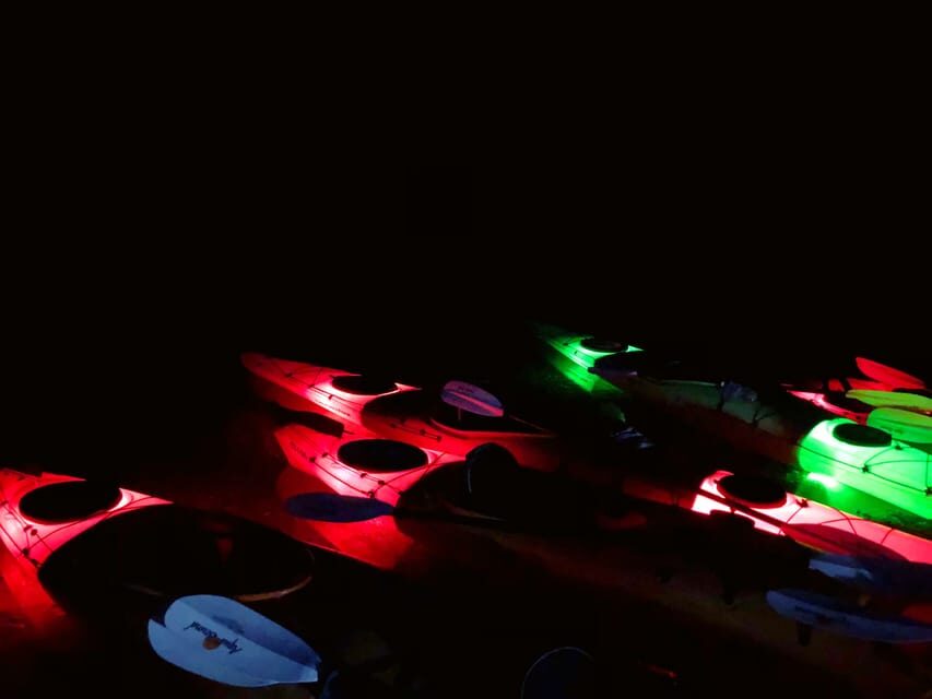 From Las Vegas: Black Canyon Twilight Kayak Tour - The Experience in Detail