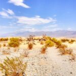 From Las Vegas: Ghost Town Wild West Adventures Day Trip - The Charm of Route 66 and Oatman