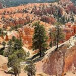 From Las Vegas: Private Tour to Zion National Park - Exploring the Details of the Private Zion Tour