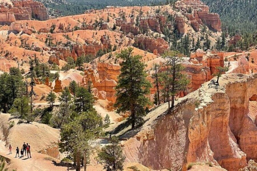From Las Vegas: Private Tour to Zion National Park - Exploring the Details of the Private Zion Tour