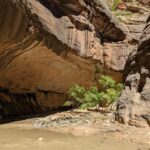 From Las Vegas: Zion National Park Small Group Adventure - Who Will Love This Tour?