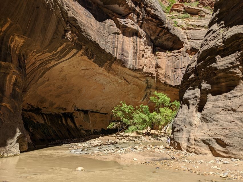 From Las Vegas: Zion National Park Small Group Adventure - Who Will Love This Tour?