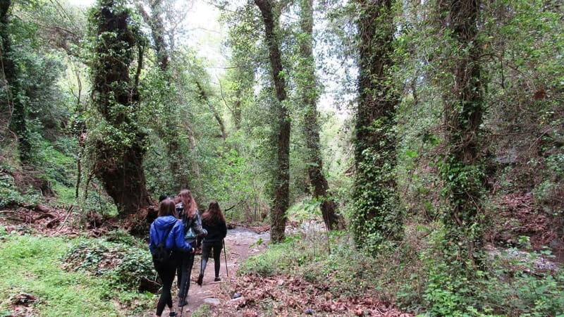 From Lasithi: Richtis Gorge - What Travelers Can Expect & Practical Tips