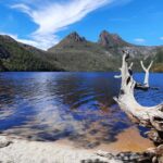 From Launceston: Sheffield Murals & Cradle Mountain Day Tour - Exploring Northern Tasmania: A Detailed Look