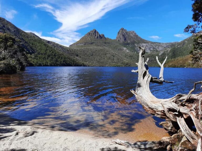 From Launceston: Sheffield Murals & Cradle Mountain Day Tour - Exploring Northern Tasmania: A Detailed Look
