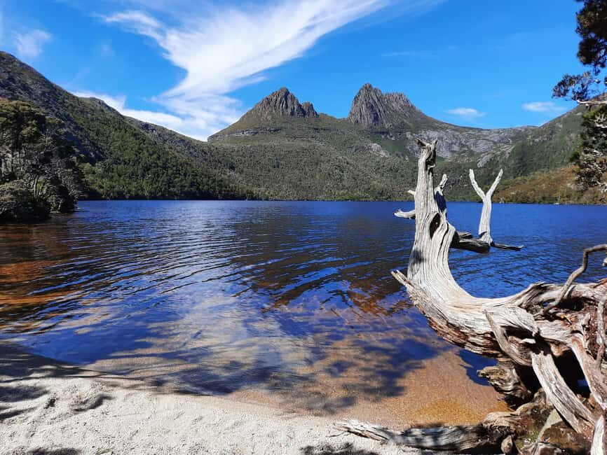 From Launceston: Sheffield Murals & Cradle Mountain Day Tour - Exploring Northern Tasmania: A Detailed Look