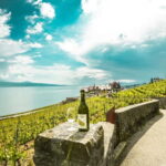 From Lausanne: Montreux, Chaplin, and Chillon Castle Tour - What Makes This Tour Stand Out
