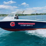 From Lazise: Boat Cruise to Sirmione - A Closer Look at the Experience