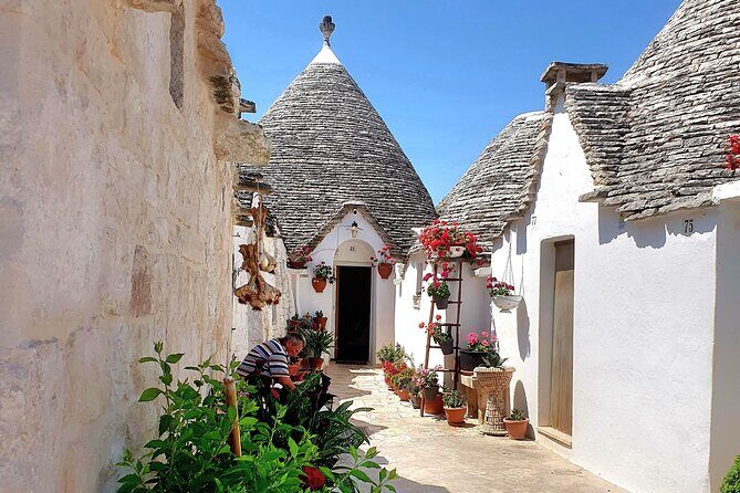 From Lecce: Alberobello, Locorotondo, Ostuni & Apulian brunch - The Highlight: Apulian Brunch and Olive Oil Tasting