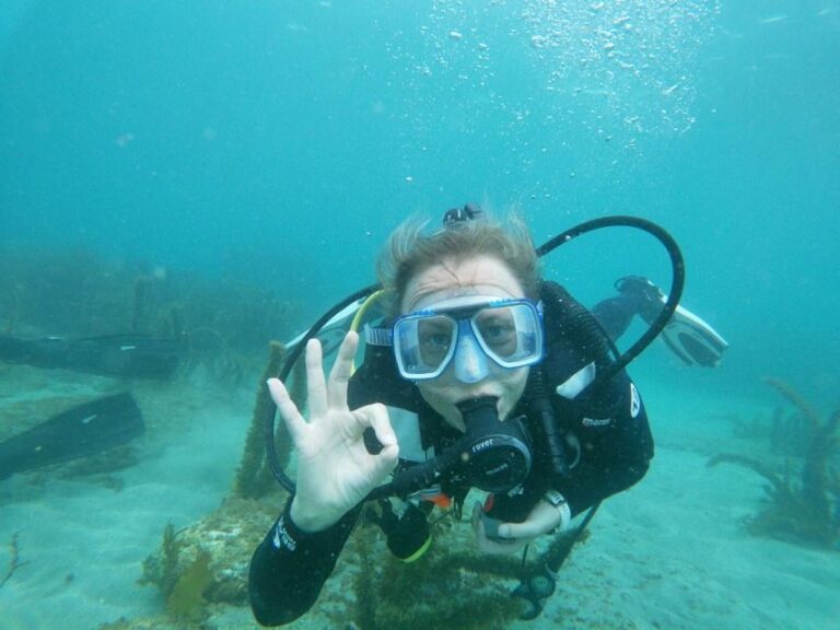 From Leigh: Goat Island Try Scuba Diving Experience - What Makes This Experience Stand Out?