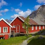 From Leknes port: Special Summer Guided Tour of Lofoten - The Sum Up