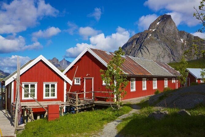 From Leknes port: Special Summer Guided Tour of Lofoten - The Sum Up