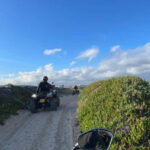 From Lisbon: Atlantic Coast Guided Quad Bike Tour - What the Tour Covers