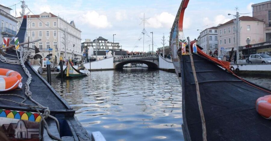 From Lisbon: Aveiro and Coimbra Food Experience - What We Think About the Experience