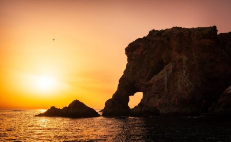 From Lisbon: Berlenga Grande Island Private Tour - An In-depth Look at the Berlenga Grande Island Private Tour