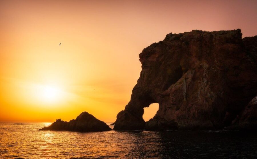 From Lisbon: Berlenga Grande Island Private Tour - An In-depth Look at the Berlenga Grande Island Private Tour