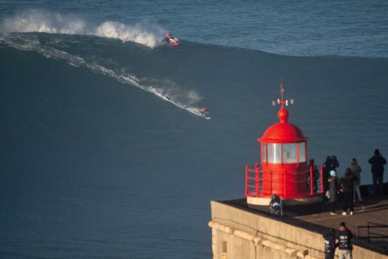 From Lisbon: Budha Eden, Obidos & Nazaré Private Day Trip - Final Thoughts