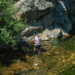 From Lisbon: Discover the Heart of Portugal Tour - A Deep Dive into the Heart of Portugal Tour