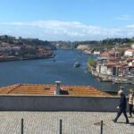 From Lisbon: Douro Valley and Porto Town Experience - Who Will Love This Tour?